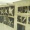 Atelierprojekt 2008