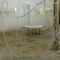 biomorphes
