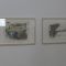 Ausstellung